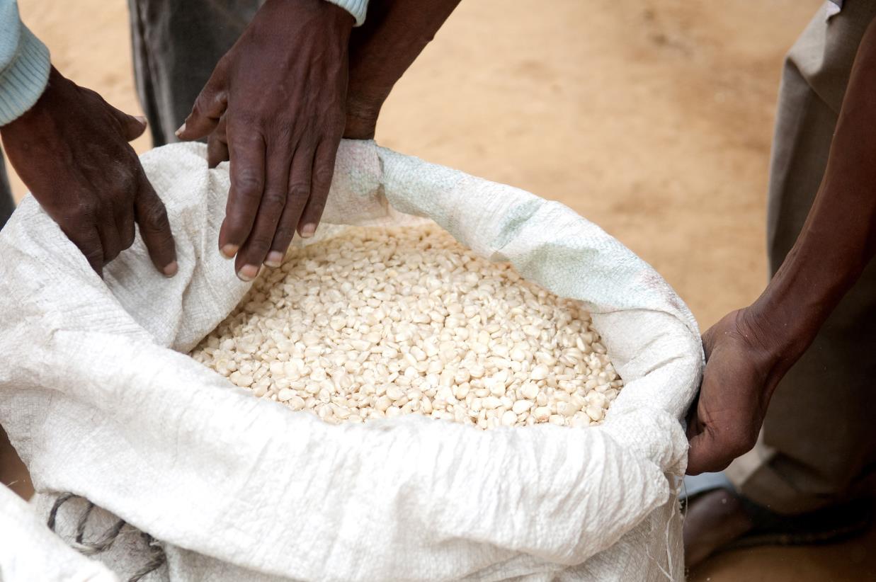 Food Distribution