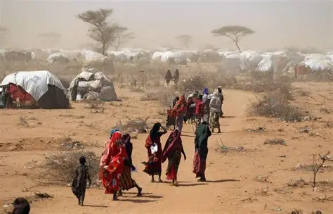 Migration